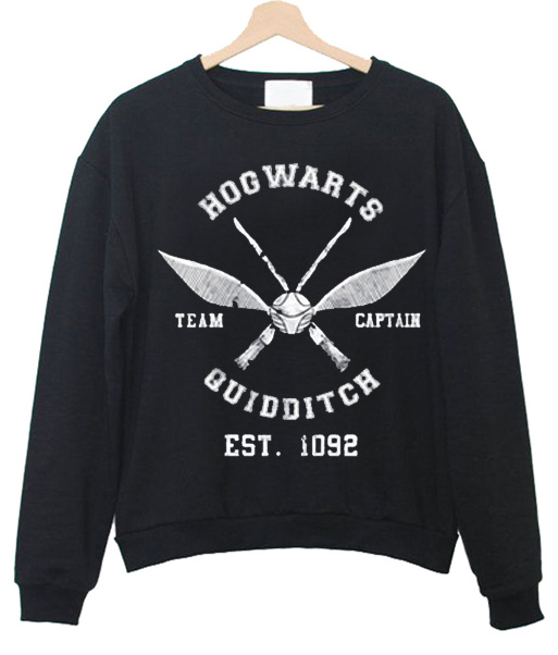 quidditch sweatshirt