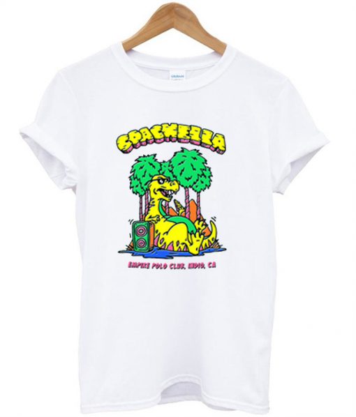 vintage coachella shirt