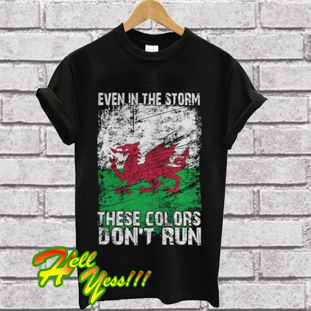 these colours dont run t shirt